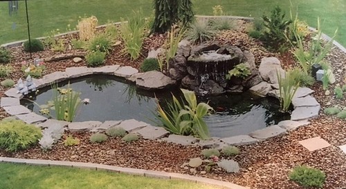 Water garden fountain koi - water,