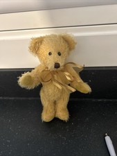 A Small Canterbury Bear