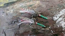 Tarpon Barracuda Bone fish