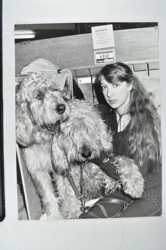 Debbie pretious otterhounds - pretious,