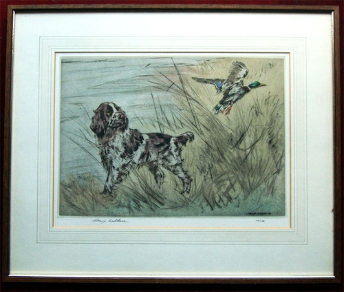 Spaniel and mallard henry - mallard,