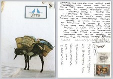 x03852 Donkey   Cyprus