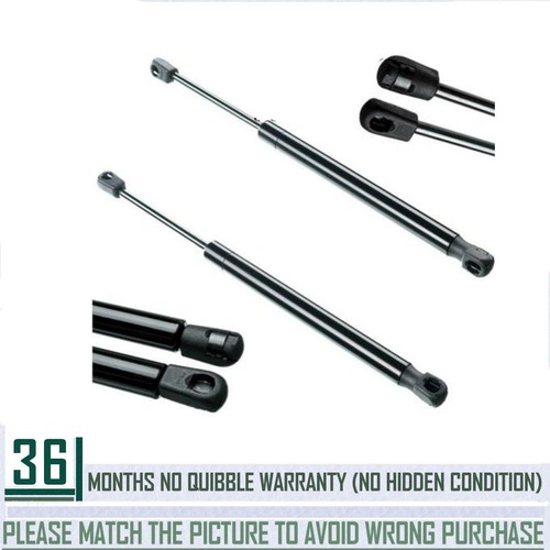 Tailgate boot struts gas - tailgate,