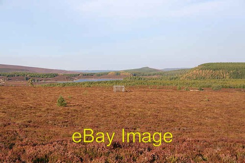 Photo 6x4 larsen trap - larsen,