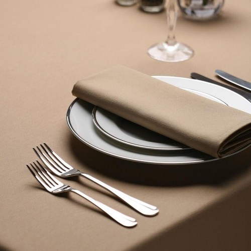 50x50cm large napkin - 10, x