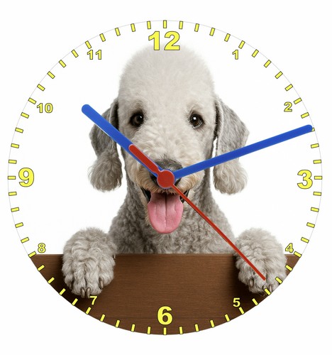 Quartz clock bedlington - quartz,