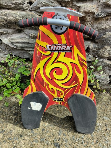 Rare spinner shark - /, land