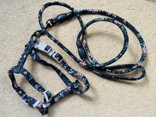 Adjustable Cat Harness Cat Walking Leash Kitten Harness Leash Large Cat Harness