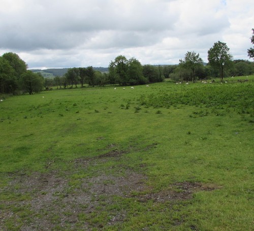 Photo 6x4 grazing land - grazing, in