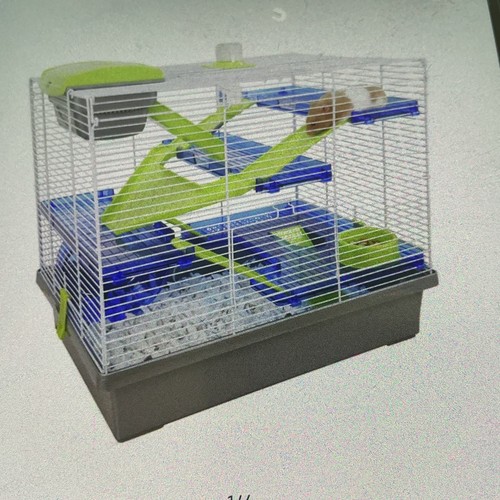 Rosewood pico hamster - rosewood,