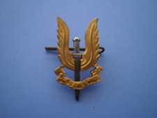 Special Air Service  ( SAS )