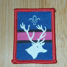 UK Scouting Current Scout