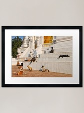 Temple Dogs Framed Art Print