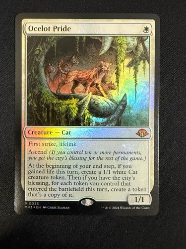 Ocelot pride modern - -,