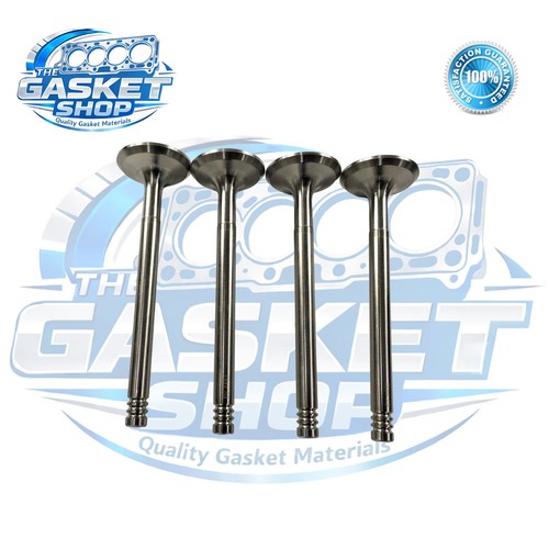 Exhaust valves focus galaxy - exhaust,