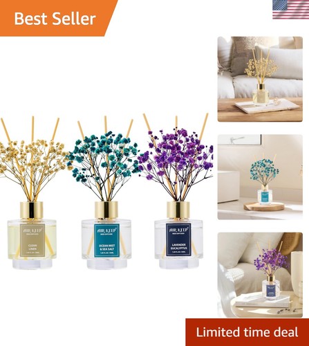 Reed diffuser set - reed,