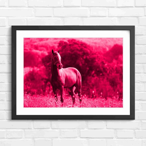 Palomino horse standing - palomino, in