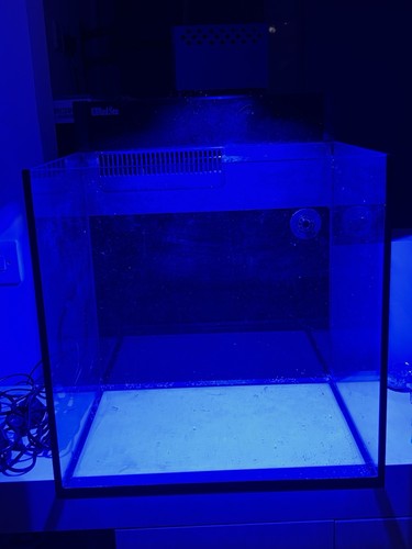 Red sea max nano 75l - red,