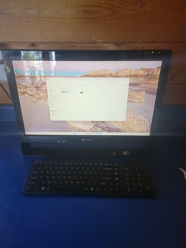 Sony vaio all one - sony, in
