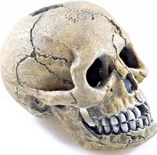 5cm spooky skull aqua fish - skull,