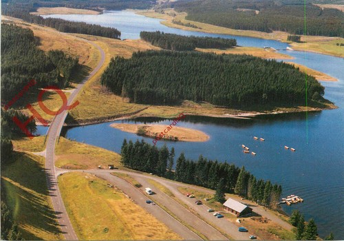 Picture postcard fishing - picture, postcard:-fishing