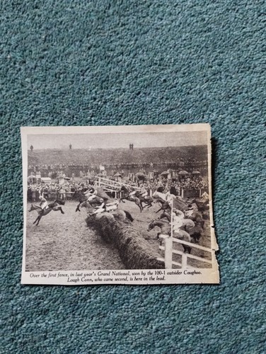 Sk242 ephemera 1947 - sk242,