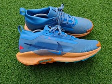 Nike Pegasus Trail 5 GORE-TEX