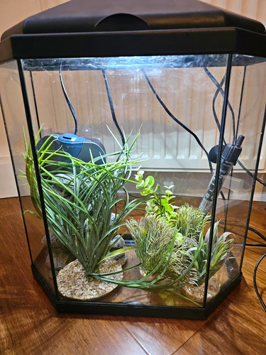 25l cianohexagon glass - cianohexagon,