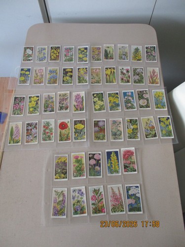 Wills wild flowers 1st - wd,