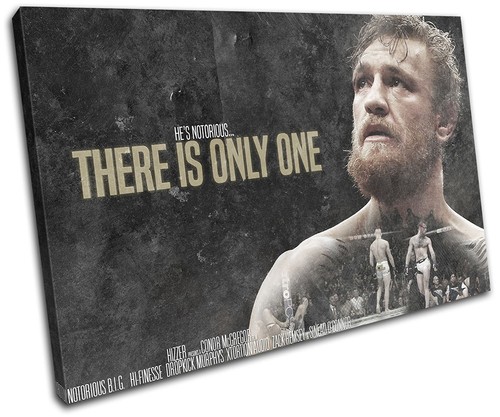 Conor mcgregor ufc - conor,