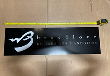 Breedlove guitar illuminated - guitar,