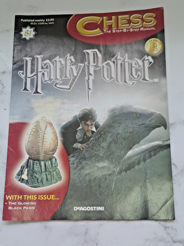 Harry potter wizard chess - harry,