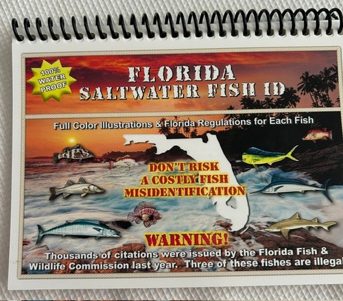 Florida salt water fish - florida, id