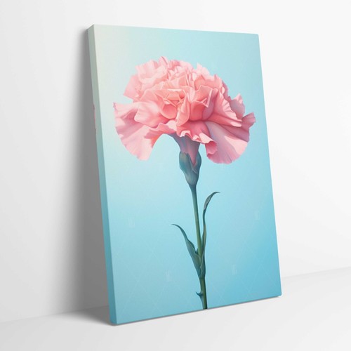 Stunning carnation flower - carnation,