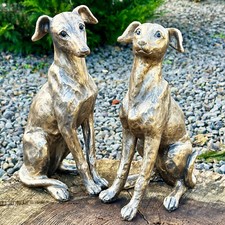Set gold regal greyhound - regal,