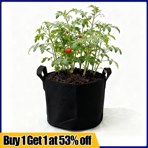 Pack large plant grow - large, bags