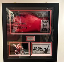 FRAMED Silvester Stallone SIGNED Boxing Glove ROCKY display case