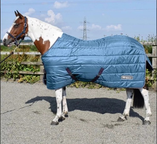 Whitaker lupin stable - lupin, rug