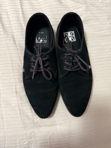 Black pointed creeper - t.u.k.,