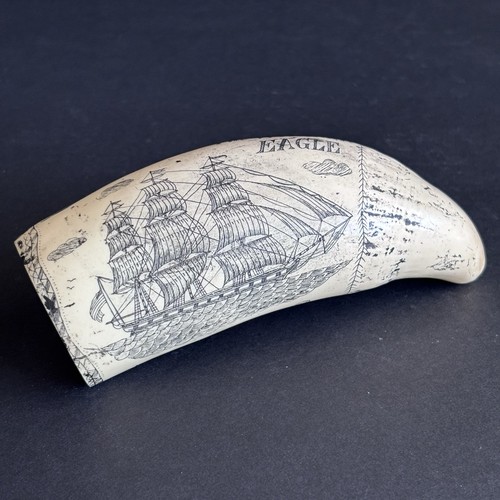 Vintage whale tooth scrimshaw - vintage,
