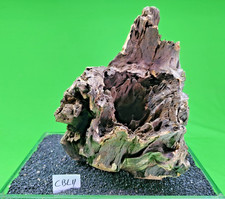 Large Corbo Root CBL11 CAVE