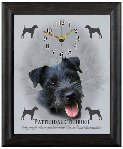 Patterdale terrier gift - terrier,