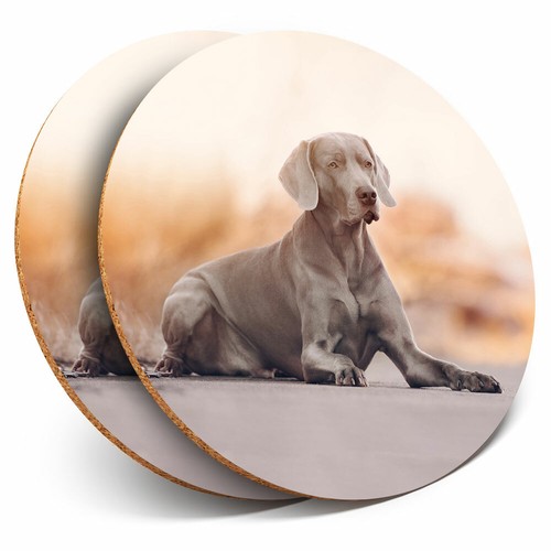 Coasters large - coasters,