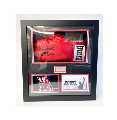 Boxing glove display case 5in - display,