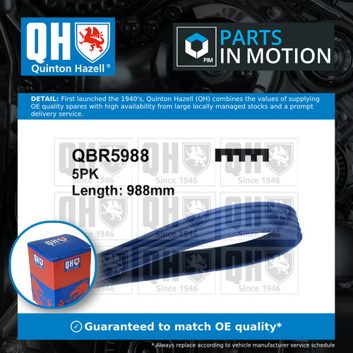 Rib multi drive belt fits - v,