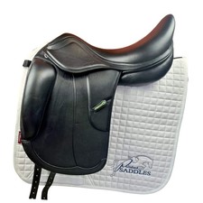 Amerigo Vega Siena Special