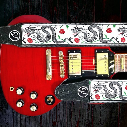 The jimmy page - dragon, suit