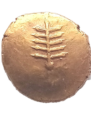 Late iron age - age/celtic, dobunni