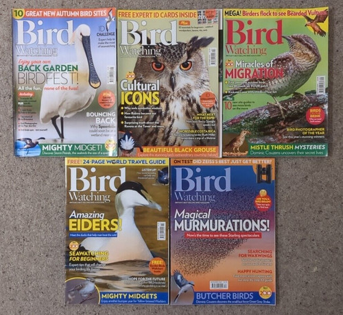 Bird watching magazine - bird, 5
