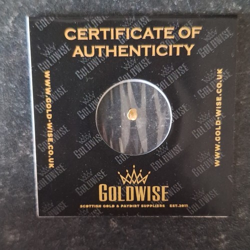 Scottish rare gold nuggets - rare,